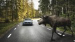 В США новые автомобили будут в обязательном порядке оснащать системами автоматического торможения