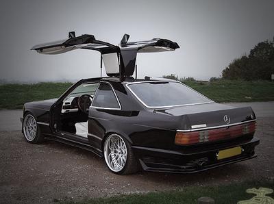 gullwing_1.jpg