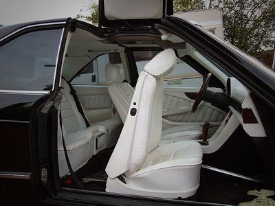 gullwing_4.jpg
