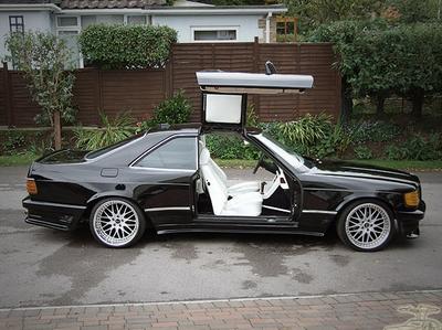 gullwing_5.jpg