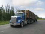 Freightliner представила новую модель для грузоперевозок Freightliner представила новую модель для грузоперевозок